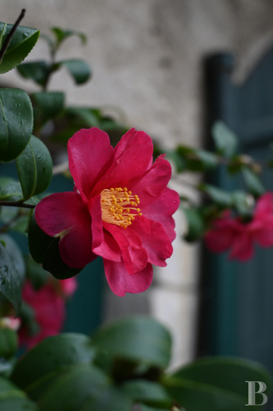 Dans l’Ain, à proximité de Genève, une maison du 17e siècle traversée par un souffle contemporain - photo  n°31